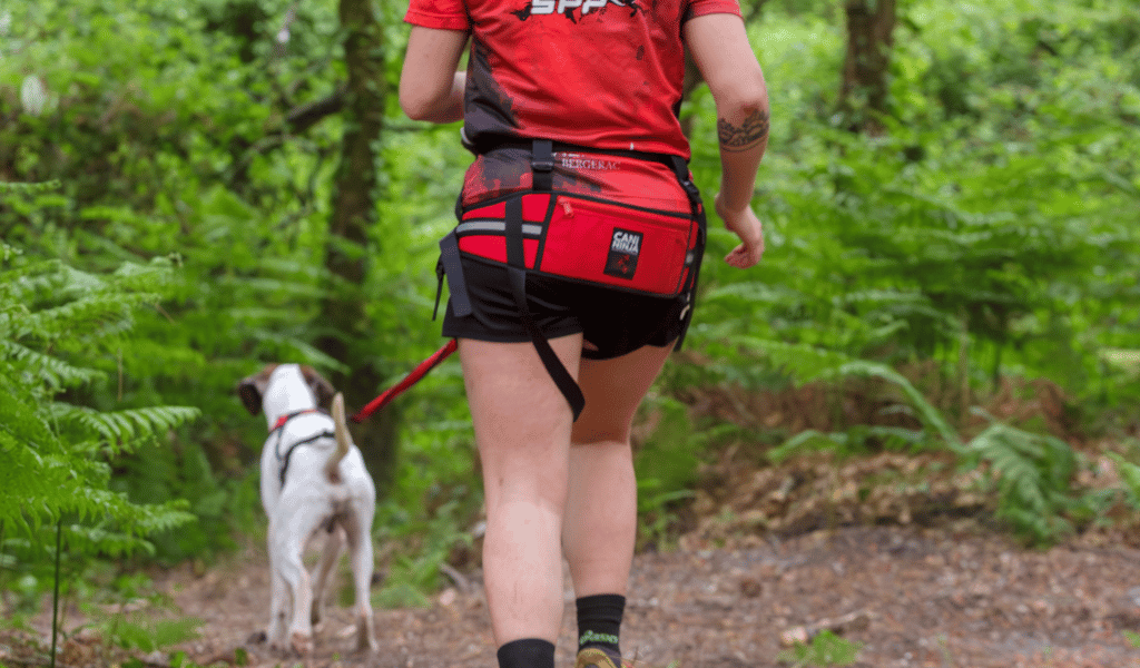 ceinture baudrier canicross, baudrier cani ninja, ligne de canicross 