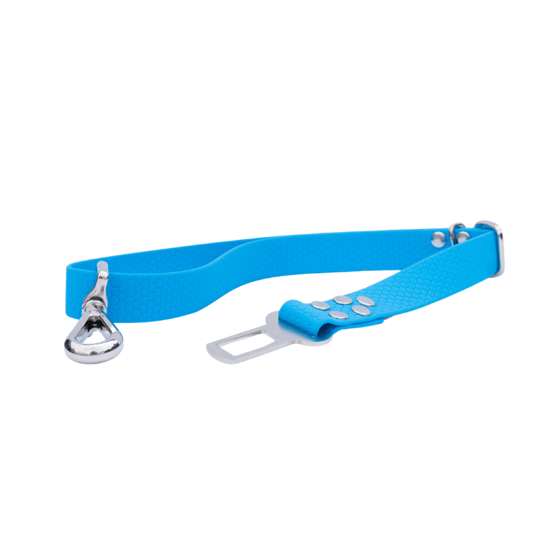 ceinture de sécurité voiture chien hexa bleue