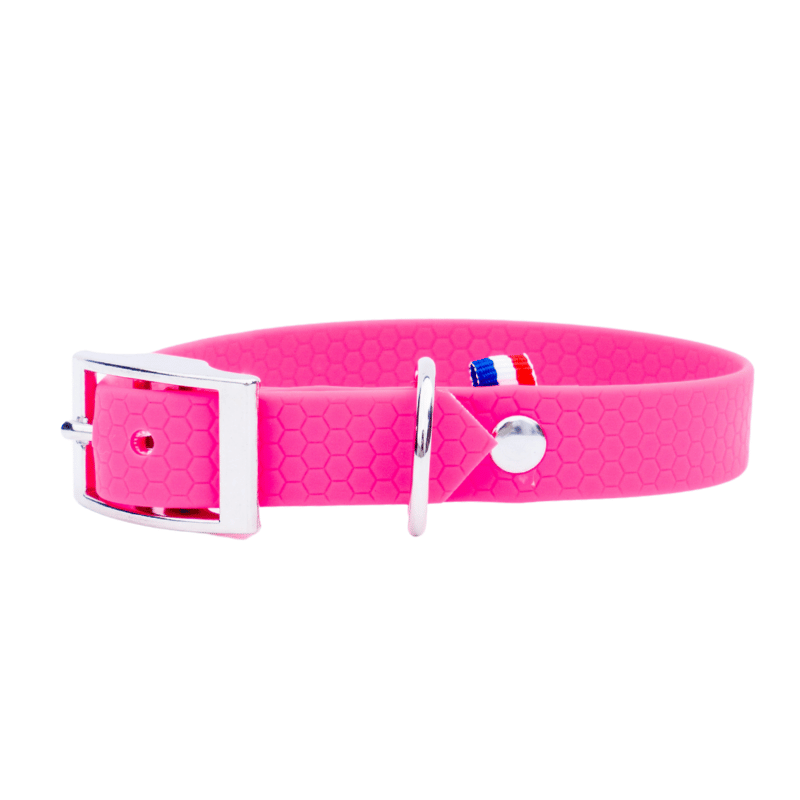 collier hexa chien rose fluo