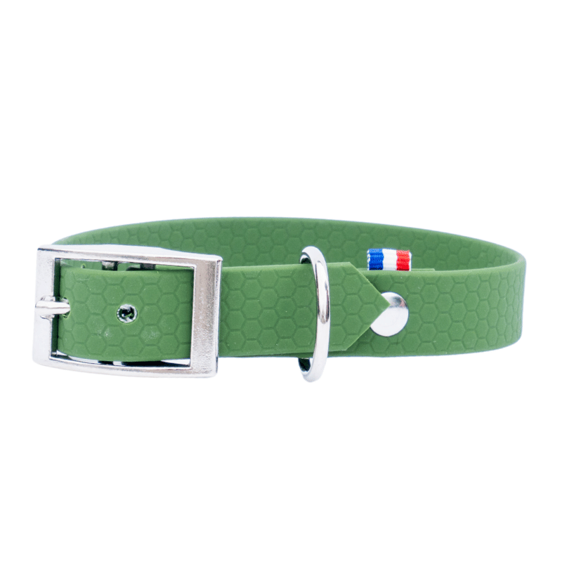 collier hexa chien vert olive