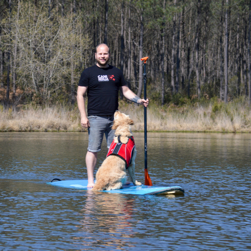 t-shirt cani ninja, gilet de sauvetage pour chien 