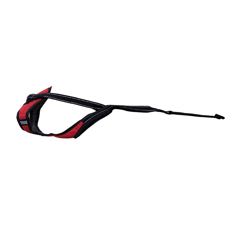 Harnais Canicross Chien Carré