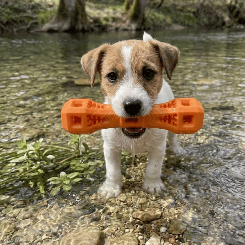 jouet pour chien, jouet orange pour chiot jouet orange pour chien 