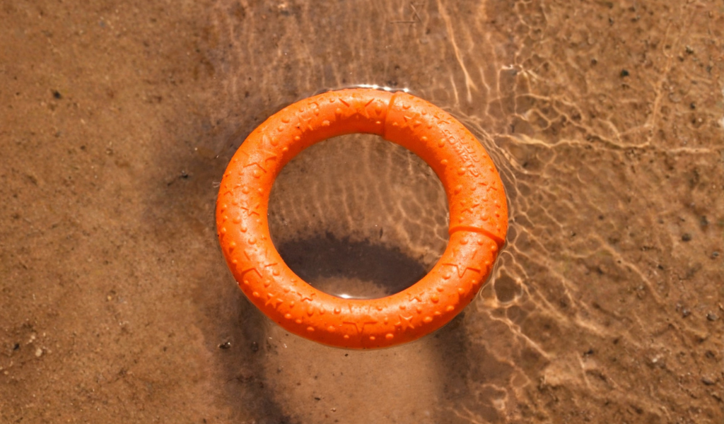 jouet qui flotte pour chien, jouer arrondie pour chien, Anneau à lancer, jouet orange 