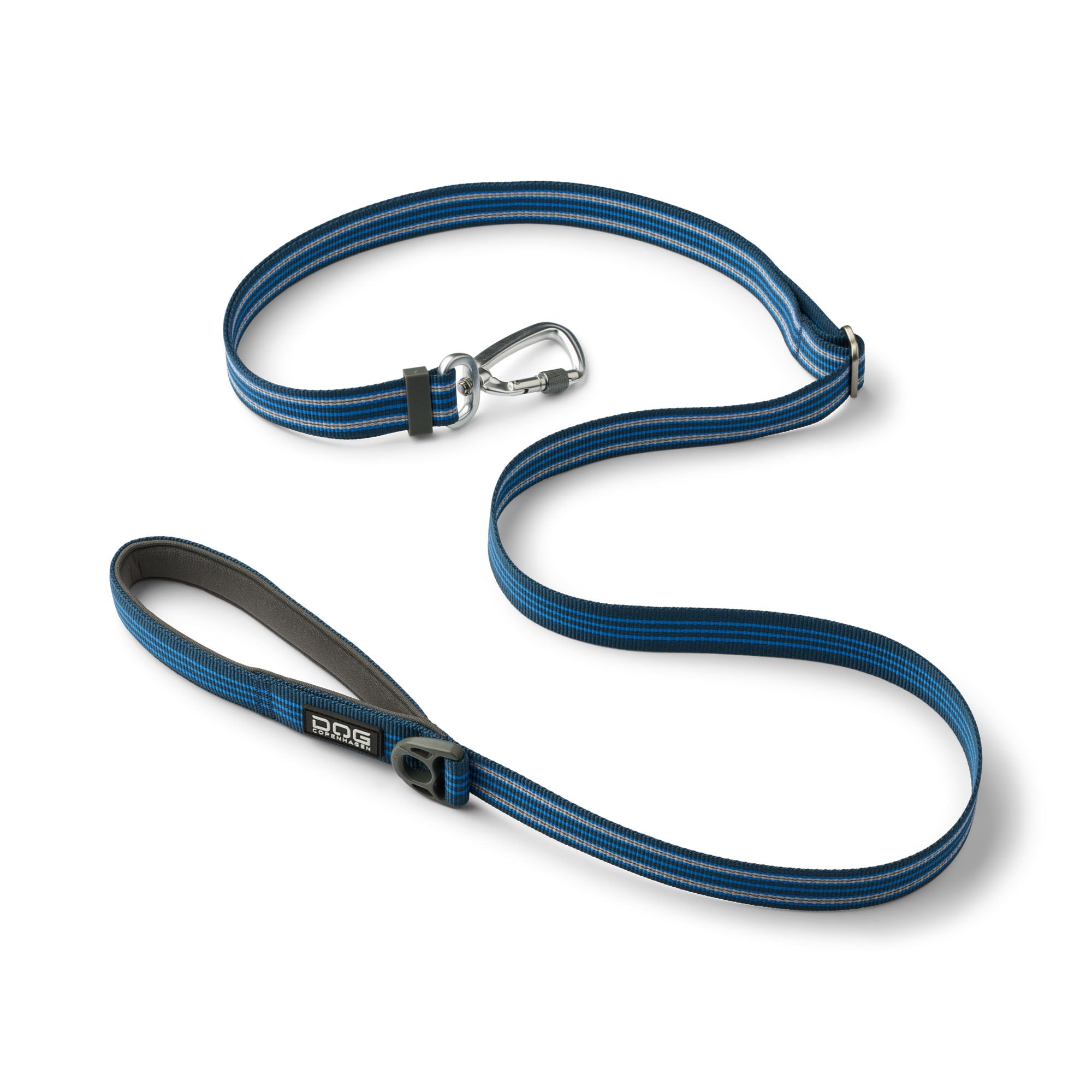 Laisse bleu pour petit chien, laisse bleu pour chien