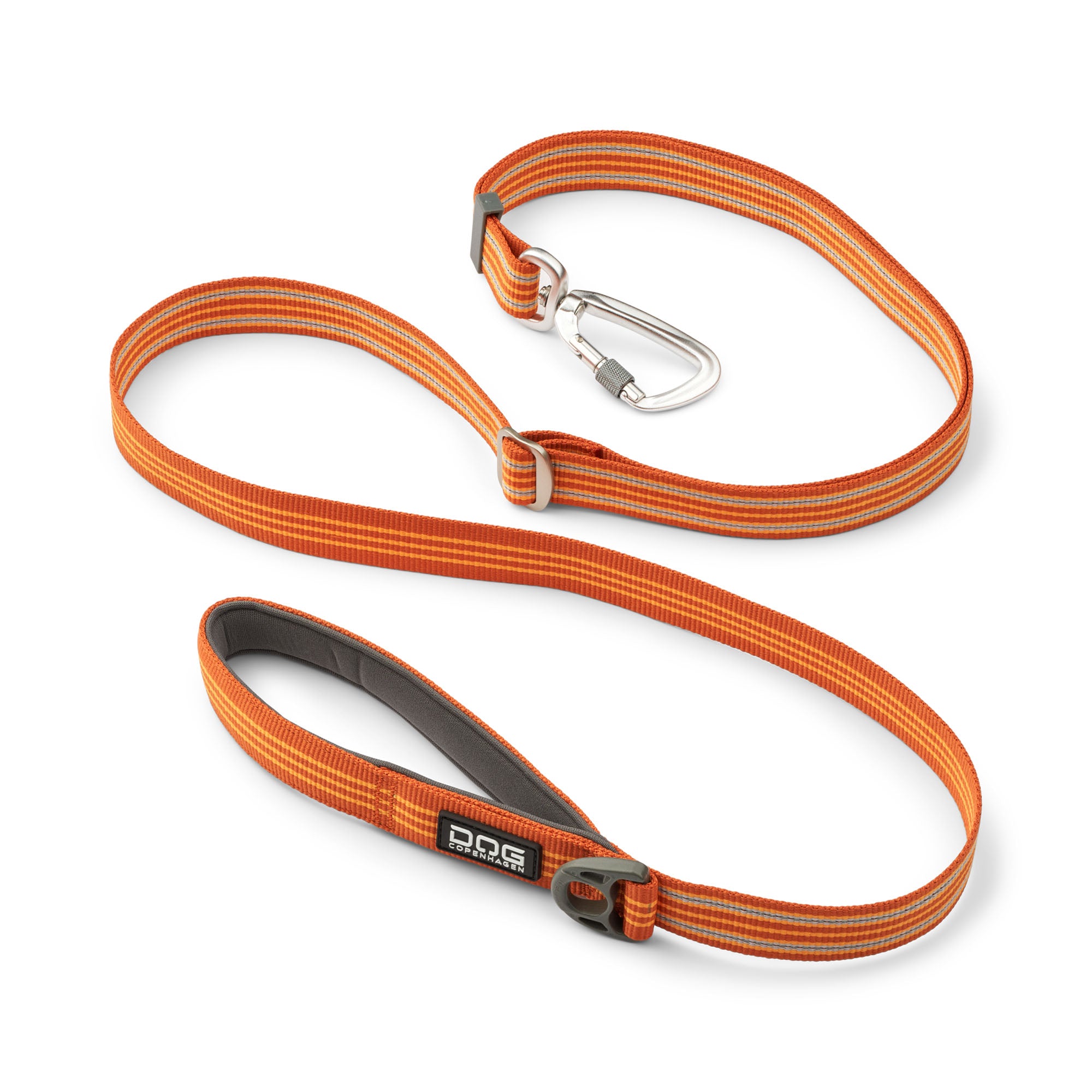 Laisse orange pour petit chien, laisse orange pour chien
