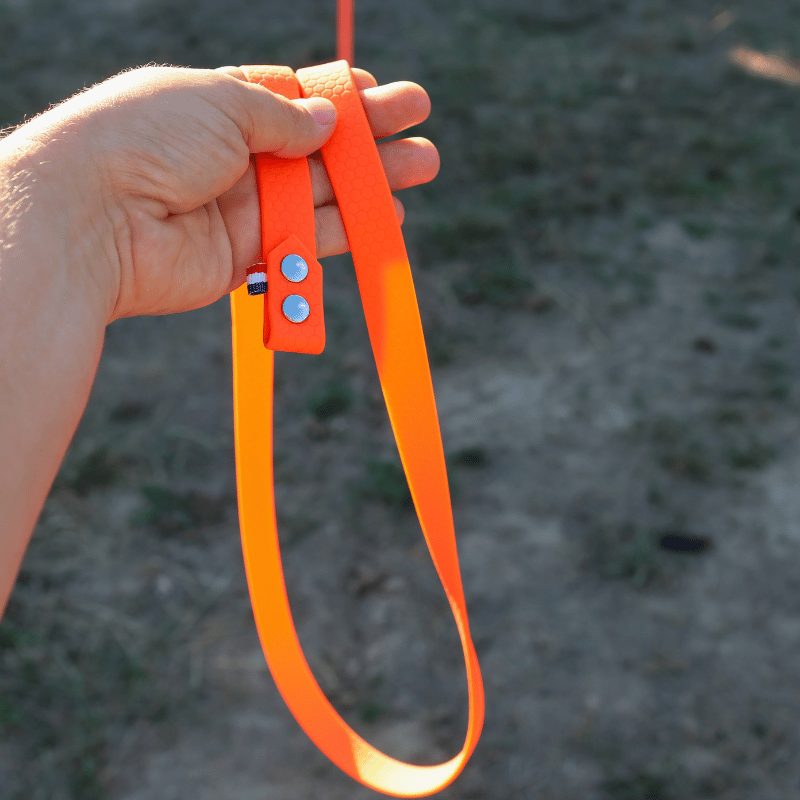 Longe 5m, longe mantrailing, longe pour chien, longe apprentissage rappel