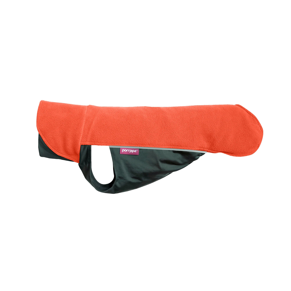 manteau léger pour chien