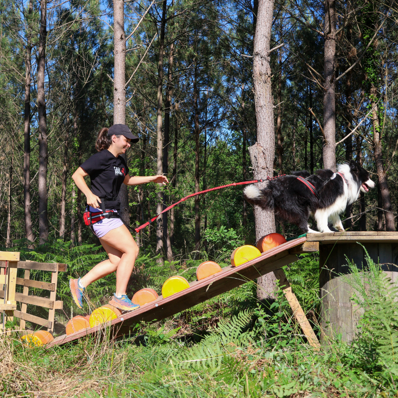 Pack Cadeau CANI NINJA