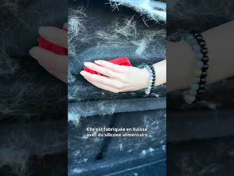 Brosse Voiture Poils Longs