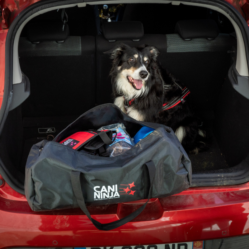 harnais de traction, baudrier canicross sac de transport friandise pour chien