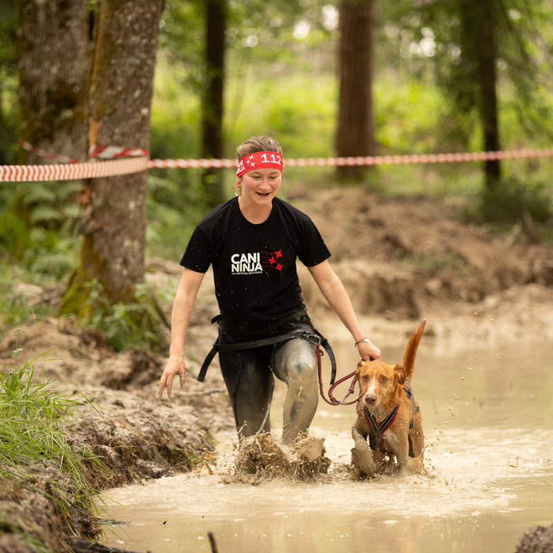 t-shirt canicross cani ninja course obstacle avec chien