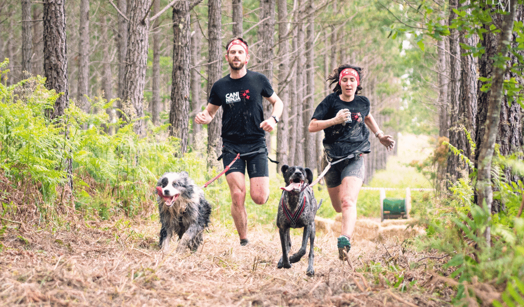 canicross cani ninja, t-shirt cani ninja en coton, harnais de canicross 