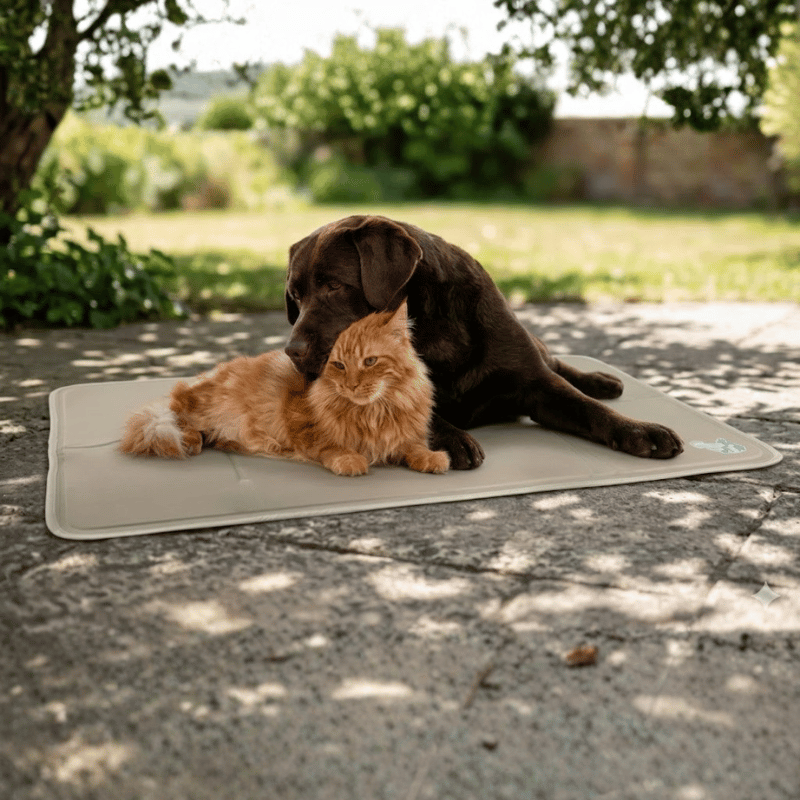 tapis de fraicheur chien et chat 